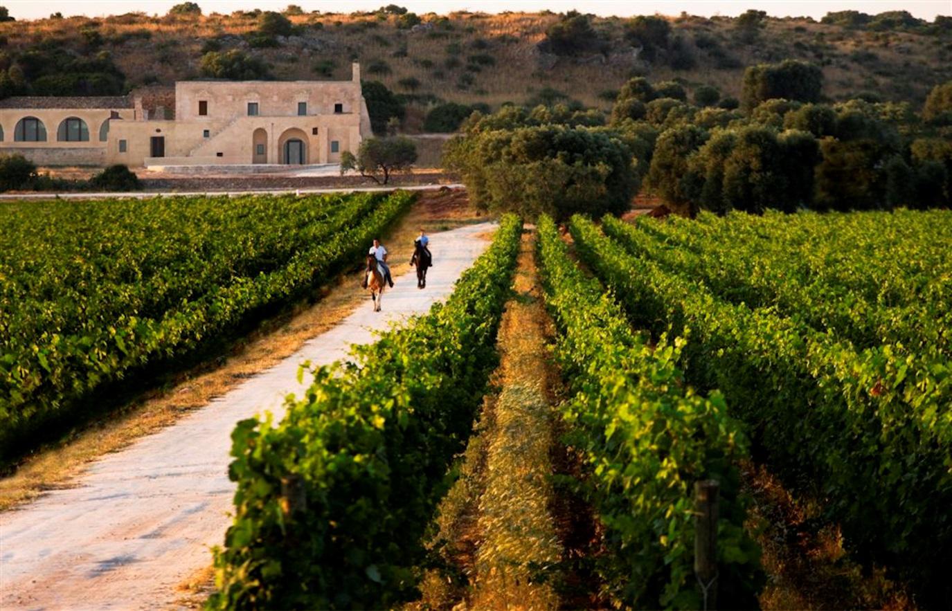 20 reasons why Apulia is the worst region of Italy